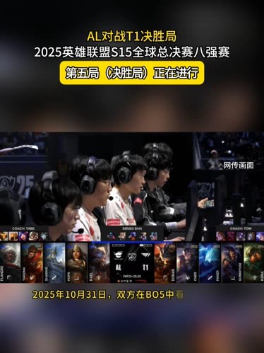 观赛法则 观赛法则